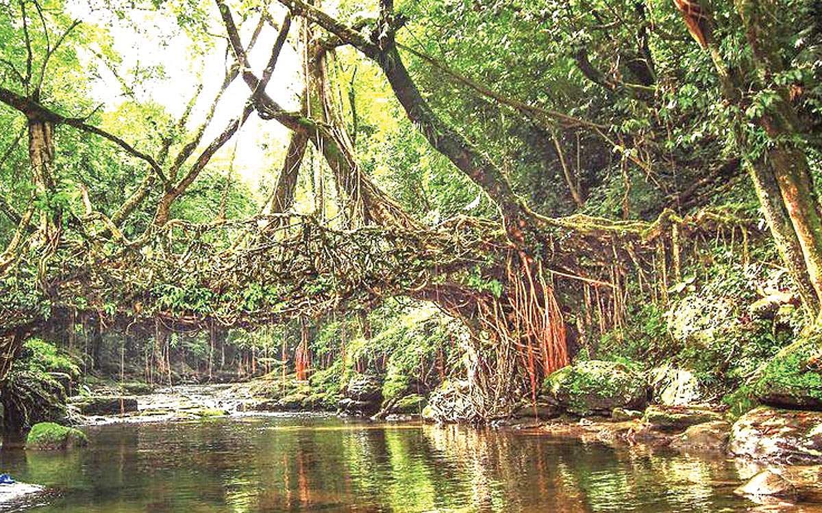 கருவூலம்: மேகாலயா மாநிலம் பற்றி தெரிந்து கொள்வோமா?