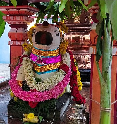 ஸ்ரீவைத்தியநாதீஸ்வரா் கோயிலில் சனிப்பிரதோஷ விழா