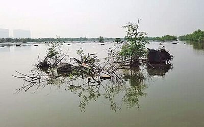 இணைய வெளியினிலே...