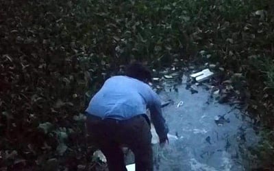 டெங்கு கொசுக்களை ஒழிக்க வளர்க்கப்படும் மீன்கள்