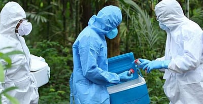 கேரளத்தில் பெண்ணுக்கு 
‘நிபா’ பாதிப்பு உறுதி: தடுப்பு நடவடிக்கைகள் தீவிரம்