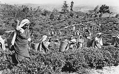 இணைய வெளியினிலே...