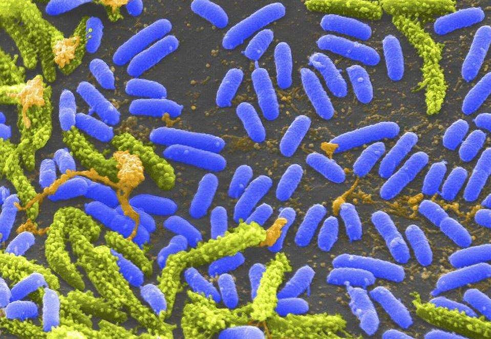 அசிரத்தை கூடாது!