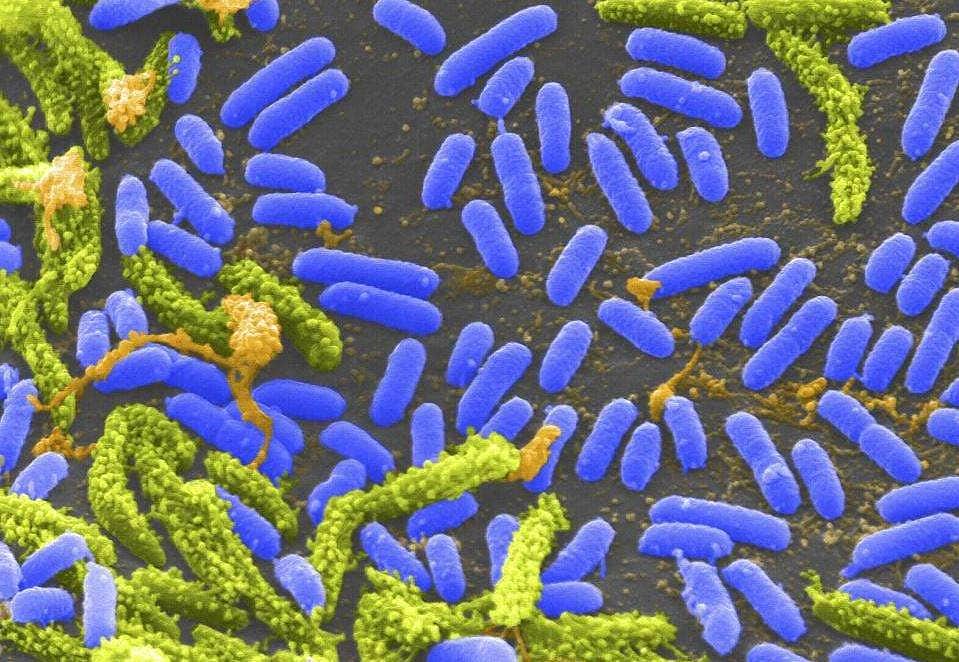 அசிரத்தை கூடாது!