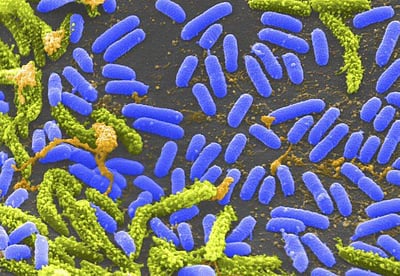 அறிவியல் ஆயிரம்: இருட்டில் ஆக்சிஜன் உற்பத்தி செய்யும் கடல் நுண்ணுயிரிகள்