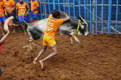 ஜல்லிக்கட்டு - வழிகாட்டு நெறிமுறைகள் வெளியீடு