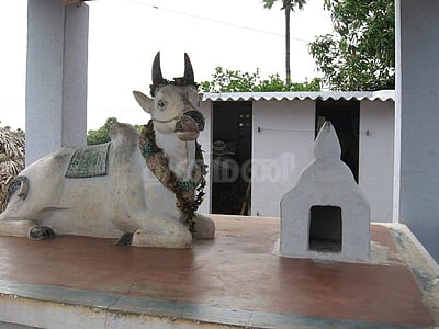எடப்பாடி அருகே பசுவுக்கு கோயில் கட்டி வழிபடும் பாசத்தாய்