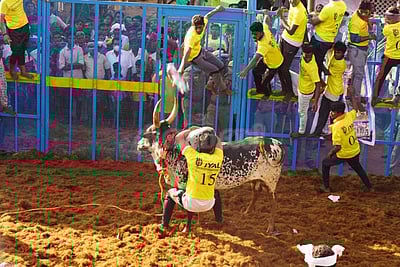 கந்தர்வகோட்டை அருகே முதல் ஜல்லிக்கட்டு போட்டி தொடக்கம்