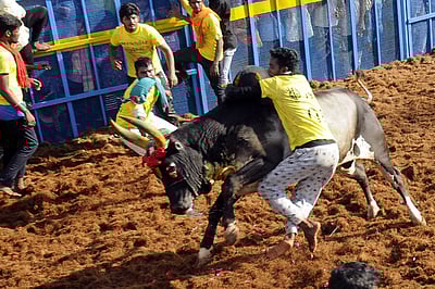 அவனியாபுரம் ஜல்லிக்கட்டு நிறைவு: 24 காளைகளை அடக்கிய வீரருக்கு முதல் பரிசு!