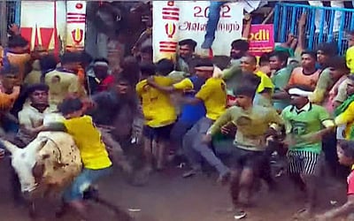 கோலாகலமாக நடைபெற்ற அவனியாபுரம் ஜல்லிக்கட்டு - புகைப்படங்கள்