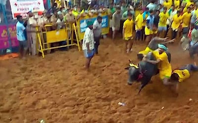 கோலாகலமாக நடைபெற்ற பாலமேடு ஜல்லிக்கட்டு - புகைப்படங்கள்