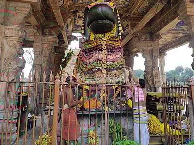 தஞ்சாவூர் பெரியகோயிலில் மகா நந்திகேசுவரருக்கு காய்கனி அலங்காரம்