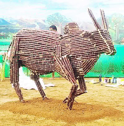 காஞ்சிபுரம் அருகே கரும்பில் வடிவமைக்கப்பட்டிருந்த மாடு