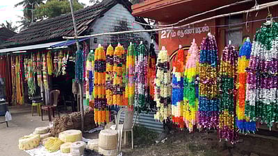 வேதாரண்யத்தில் மாட்டுப் பொங்கல் விழாவுக்கு ஆயத்தப்படுத்தும் விவசாயிகள்