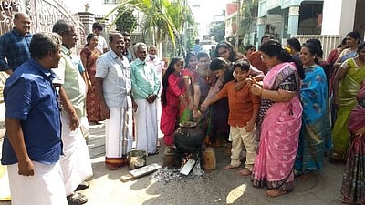 பொங்கல் விழா கொண்டாட்டம்