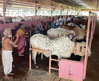 கோவிந்தபுரம் கோயிலில் கோ பூஜை