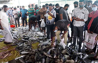 மீன் சந்தையில் குவிந்த மக்கள்: கரோனா தீவிரமாகும் அபாயம்