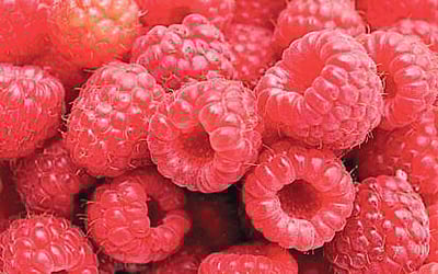 நெல்லி, வெந்தயம் ராஸ்பெரி கலந்த மாற்று தேநீர்...!