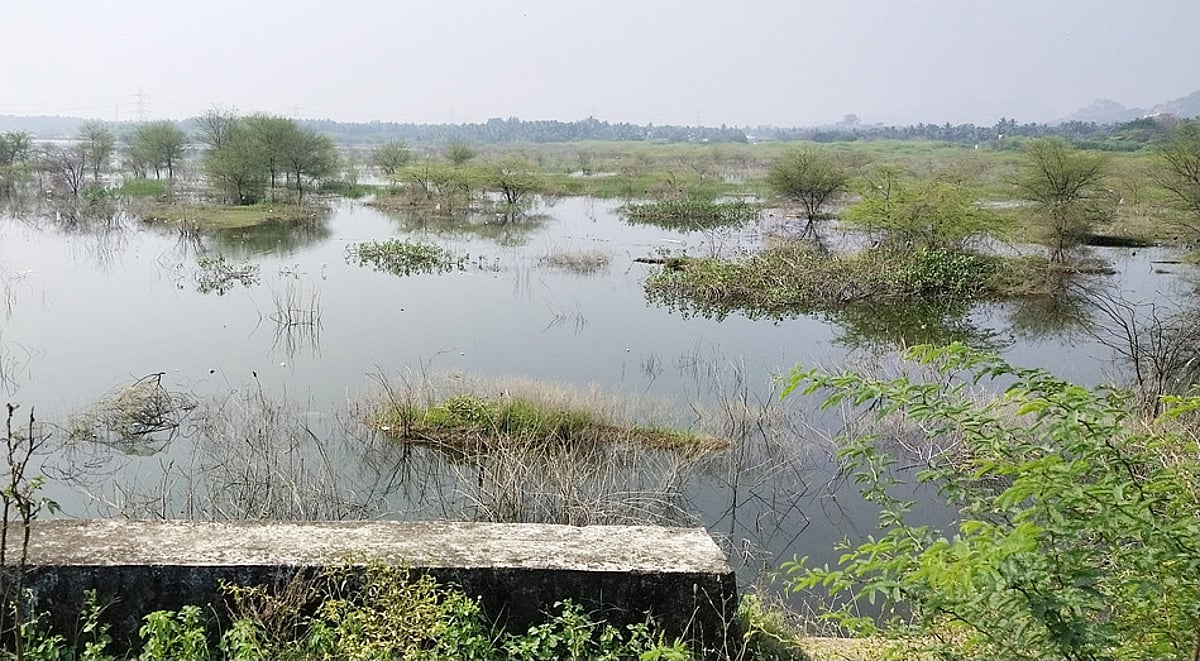 நெல்லூா்பேட்டை ஏரிக் கரைகளை சீரமைத்து அணை நீரை நிரப்ப வேண்டும்: குடியாத்தம் பகுதி விவசாயிகள் எதிா்பாா்ப்பு