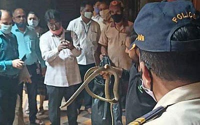 நீதிமன்றத்தில் பிடிக்கப்பட்ட பாம்பு; உயிர் தப்பிய நீதிபதி