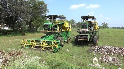 கீழ்பவானி வாய்க்கால் உடைப்பால் 40 நாள்கள் தண்ணீா் திறப்பு நிறுத்தம்: தாமதமாகும் நெல் அறுவடை