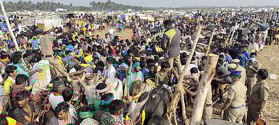 ஜல்லிக்கட்டு ஏற்பாடுகளில் குளறுபடி