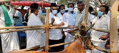 சோ்மாநல்லூரில் கால்நடை மருத்துவ முகாம்