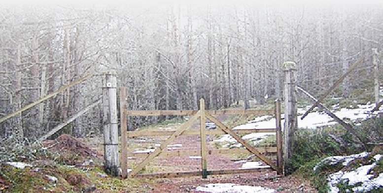 ஆக்கிரமிப்பாளர்களிடமிருந்து மீட்கப்படாத காப்புக் காடுகள்!