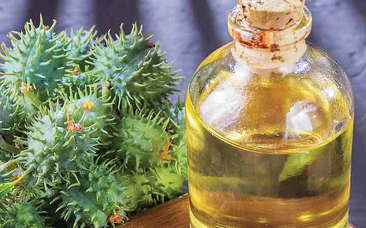 ஆயுள் காக்கும் ஆயுர்வேதம்: குடலைச் சுத்தம் செய்யும் ஆமணக்கெண்ணெய்!