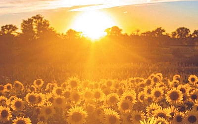 இணைய வெளியினிலே...