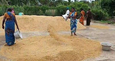 நெல் கொள்முதல் நிலையங்களிலேயே இணையவழிப் பதிவு: நுகர்பொருள் வாணிபக் கழகம்