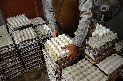 பறவைக் காய்ச்சல் எதிரொலி: கேரளத்தில் இருந்து கோழியினம் சாா்ந்த பொருள்கள் வரத் தடை