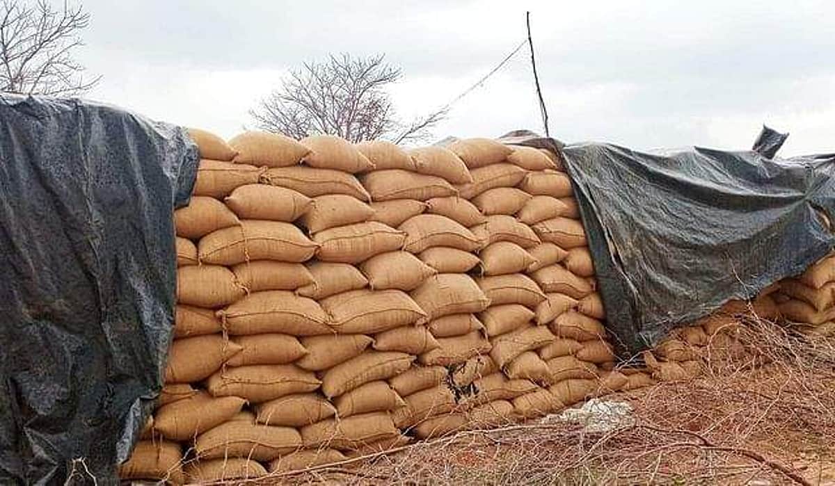 புத்தாண்டில் நல்ல செய்தி! | உணவு தானியங்களைப் பாதுகாப்பது குறித்த தலையங்கம்