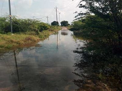 குண்டடம் அருகே தரைமட்டப் பாலத்தை உயா்த்திக்கட்ட கோரிக்கை