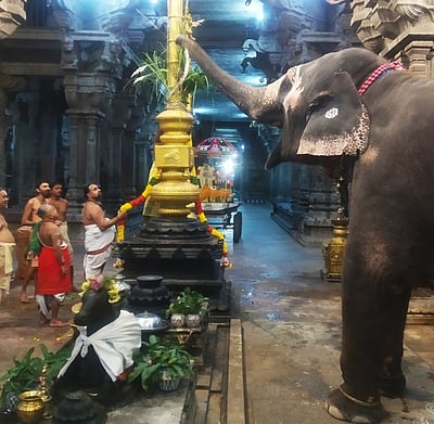 திருவானைக்காவில் தைத்தெப்பத் திருவிழா கொடியேற்றம்