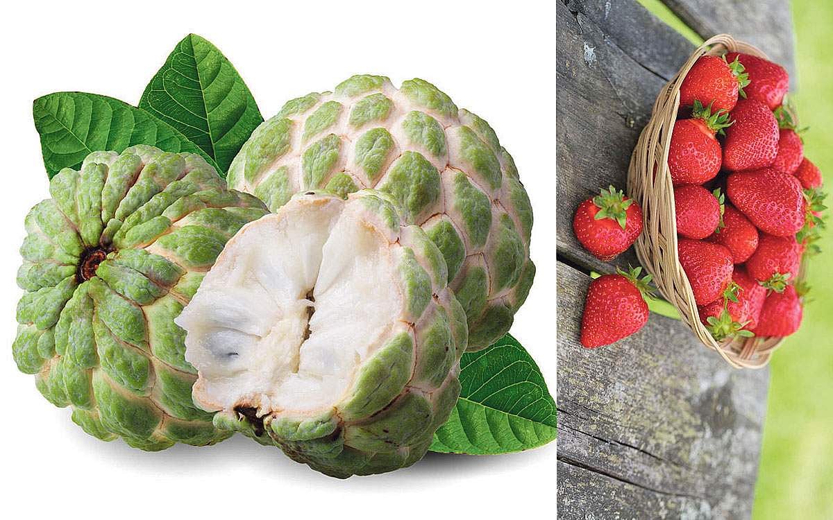 அல்சர் குணமாக சாப்பிட வேண்டிய பழங்கள்!