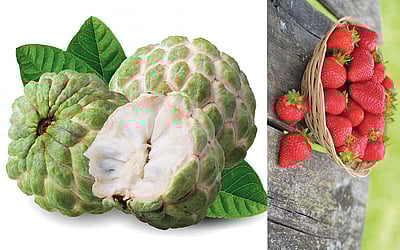 அல்சர் குணமாக சாப்பிட வேண்டிய பழங்கள்!