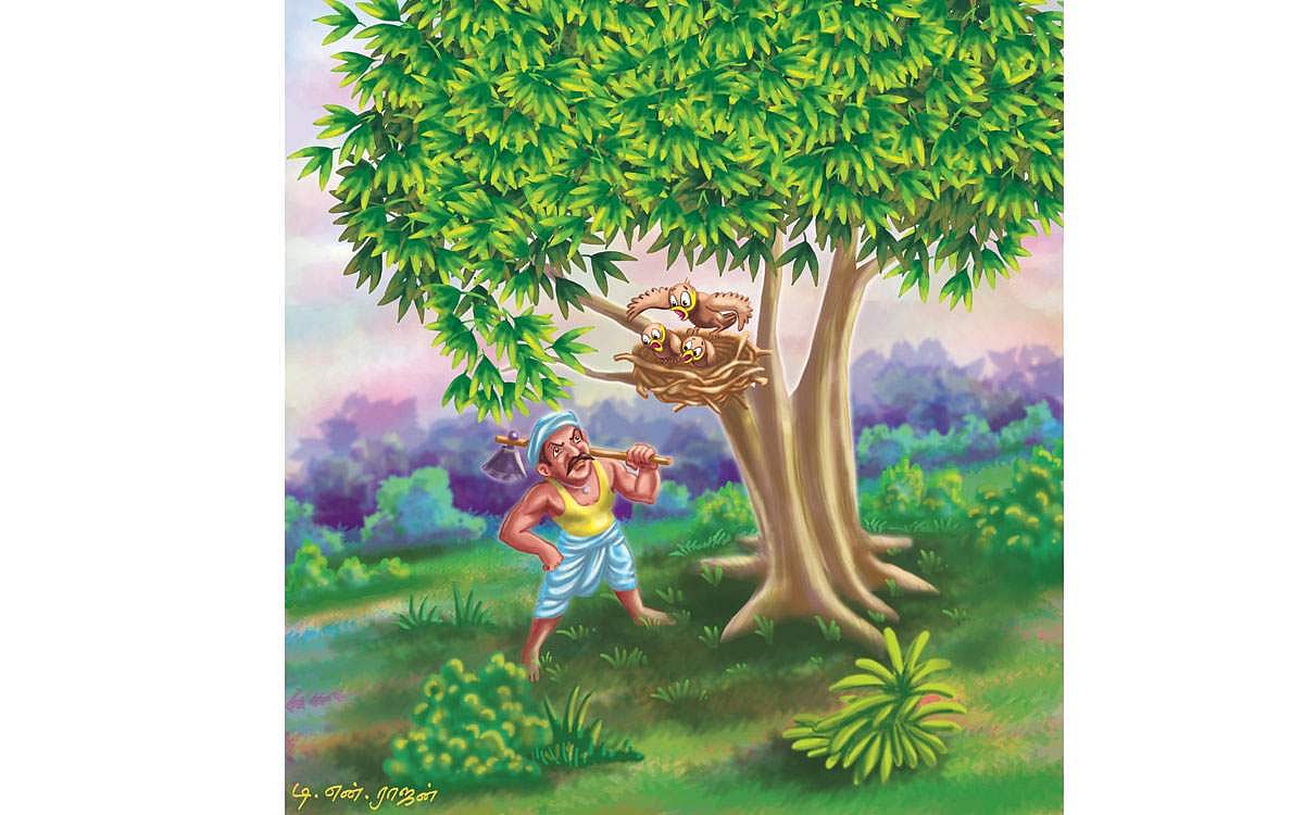 முத்துக்கதை: மாமரத்துக் குருவிகள்!