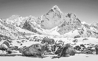 இமயமலையும் புலவர்களும்! 