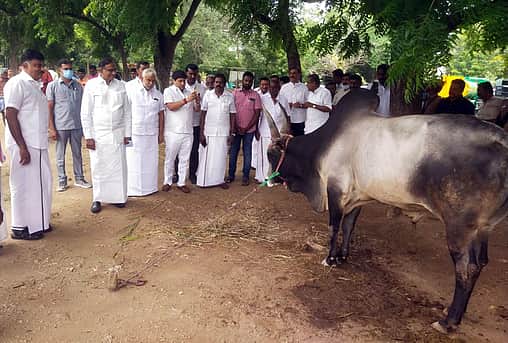 News image