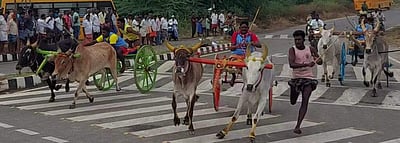 கம்பம் மந்தையம்மன் கோயில் திருவிழா: இரட்டை மாட்டு வண்டி எல்கை பந்தயம்