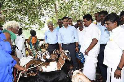 கால்நடை சுகாதார விழிப்புணர்வு முகாமை தொடங்கி வைத்தார் அமைச்சர்!