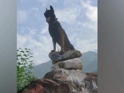 பயங்கரவாதிகளுடன் சண்டையிட்ட ராணுவ நாய் உயிரிழப்பு