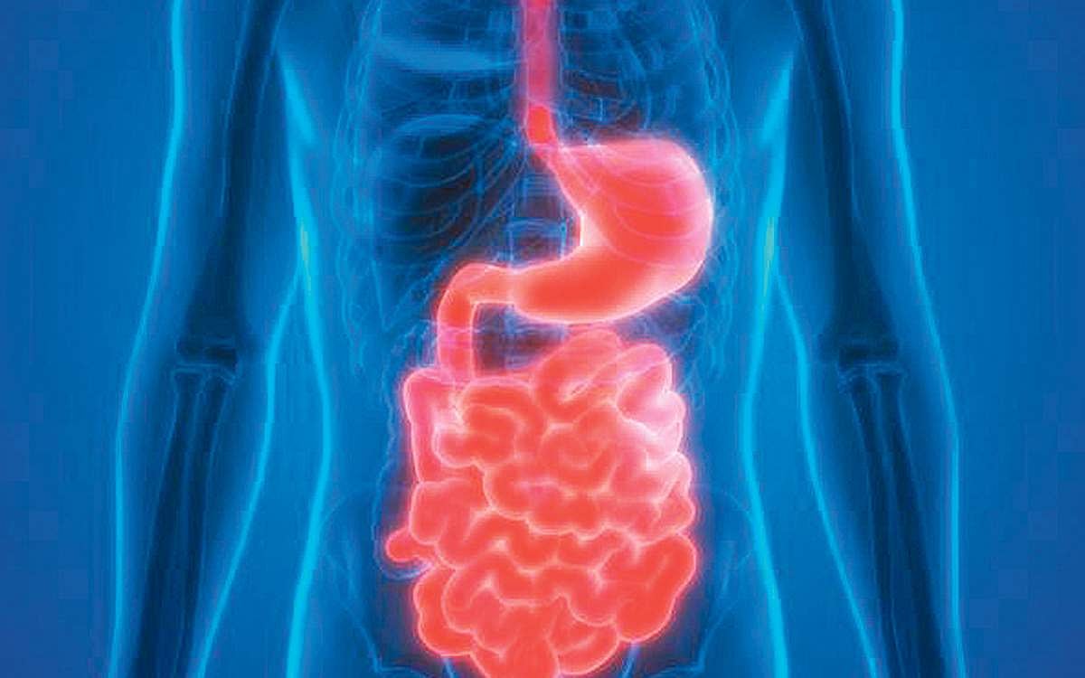 ஆயுள் காக்கும் ஆயுர்வேதம்: உண்ணும் உணவு செரிக்க...!