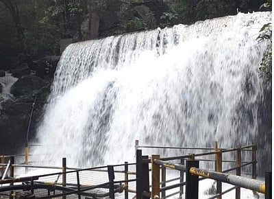 சுருளி அருவியில் வெள்ளப்பெருக்கு: குளிக்கத் தடை!