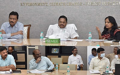 பசுமை தமிழகம் இயக்கம் திட்டத்தில் 2 கோடியே 80 லட்சம் மரக்கன்றுகள் நடும் திட்டம்: அமைச்சர் ராமச்சந்திரன் ஆய்வு