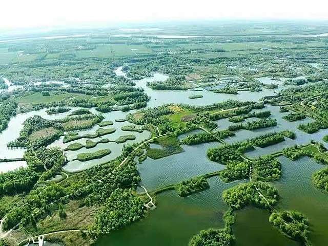 ராம்சா் அங்கீகாரம்! | ஈரநிலங்களின் பாதுகாப்பு ஒப்பந்தம் குறித்த தலையங்கம்