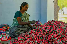 பட்டாசு மூலப்பொருள்கள் விலை உயா்வு: சிறிய பட்டாசு ஆலைகள் மூடப்படும் அபாயம்