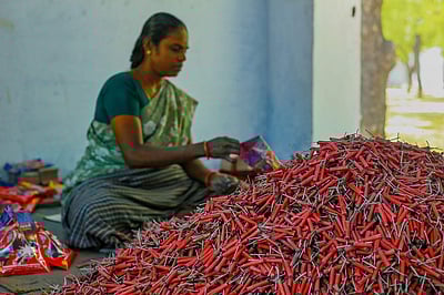 களைகட்டும் பட்டாசு விற்பனை - புகைப்படங்கள்