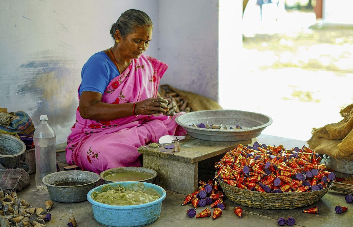பட்டாசு மேம்பாட்டு ஆராய்ச்சிக் கூடத்தை பயன்பாட்டுக்கு கொண்டுவர கோரிக்கை